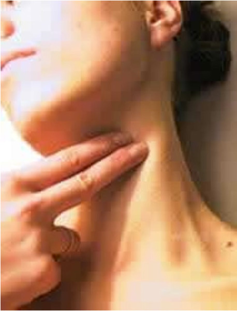 <p>the pulse felt along the large carotid artery on either side of the neck</p>