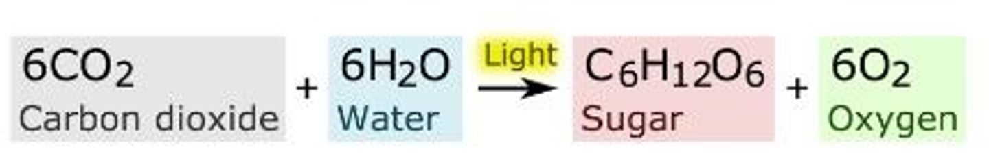 <p>carbon dioxide + water --&gt; glucose + oxygen</p>