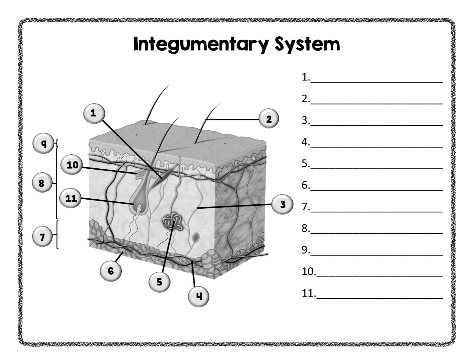 <p>What&nbsp; is number 7&nbsp;</p>