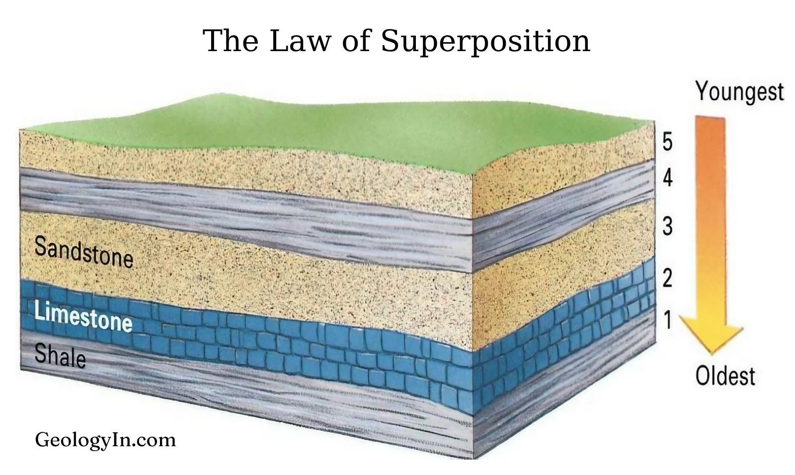 <p>superposition</p>