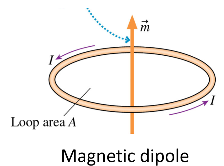 <p>magnetic dipole moment (m) of a current loop </p>