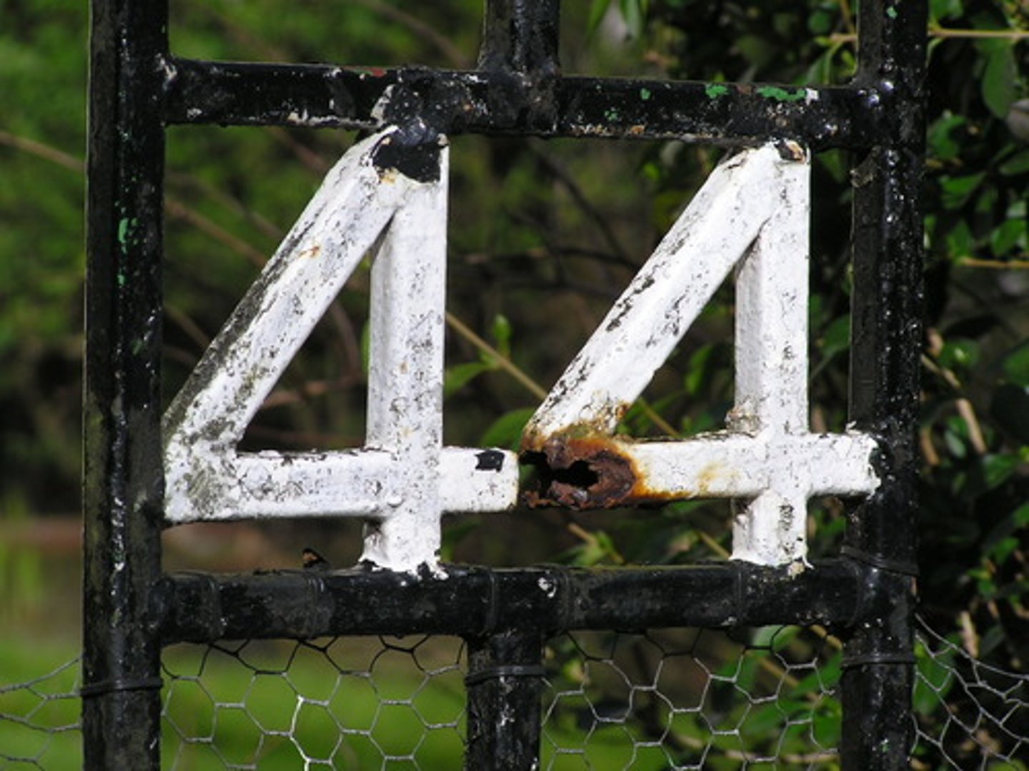 <p>forty-four-44</p>