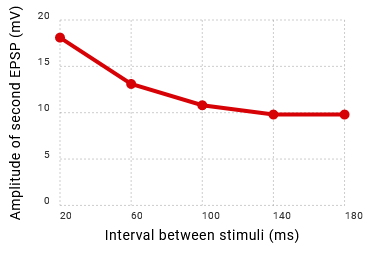 <p>-Why does the second EPSP have a greater amplitude (strength) at a 60 ms interval compared to one at a 140 ms interval?</p><p>-Why didn't the strength of the EPSP change when the interval was decreased from 180 ms to 140 ms?</p>