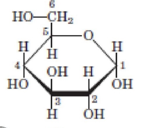 <p>What structure is this?</p>