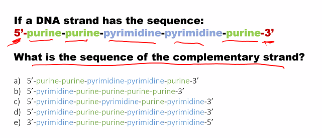 <p>d) </p>