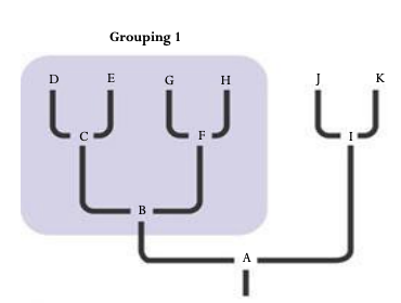 <p>Signifying that it consists of the ancestor species and all of its descendants, united by homologies/synapomorphies</p>
