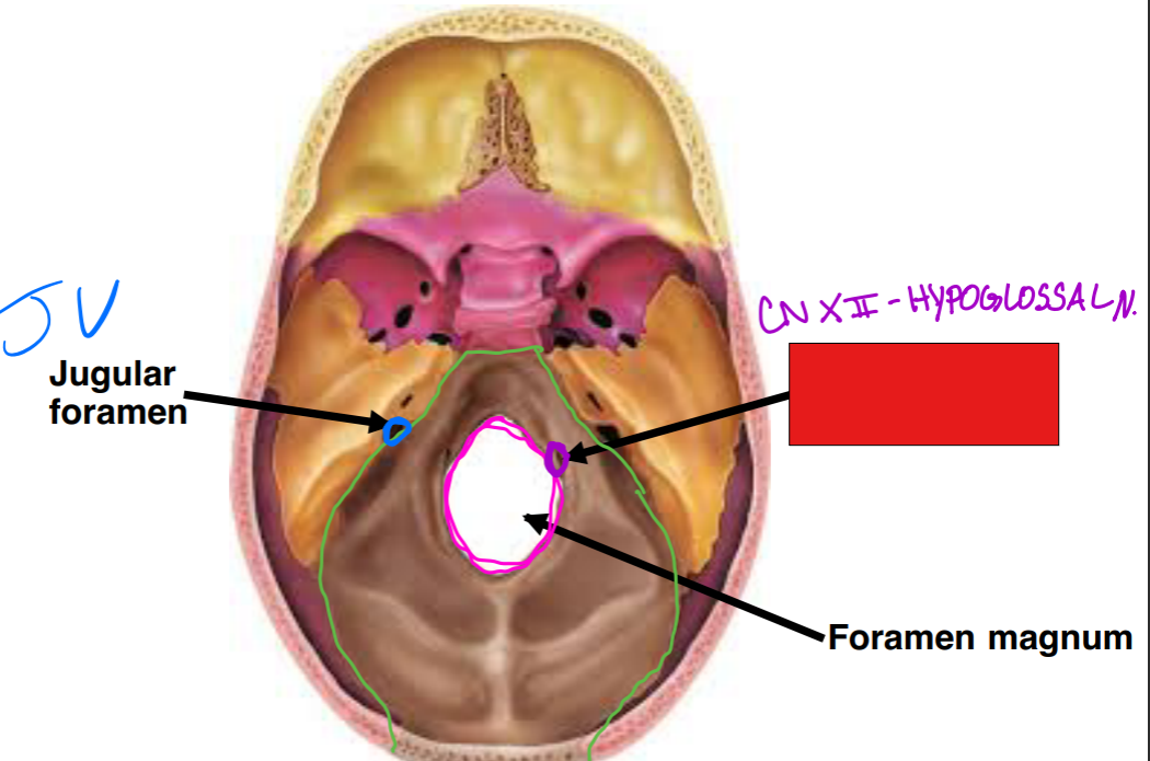 <p>Fill in the red box:</p>