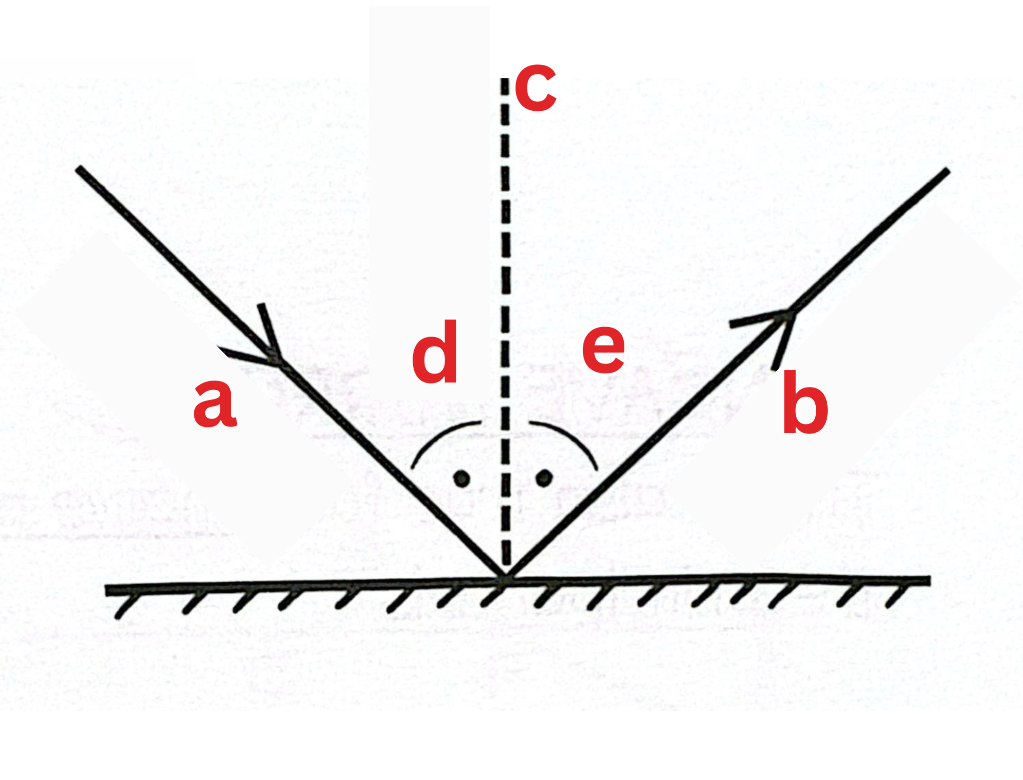 <p><span style="color: rgb(0, 0, 0);"><span>Label This Diagram</span></span></p><p><span style="color: rgb(0, 0, 0);"><em><span>Reflection</span></em></span></p>