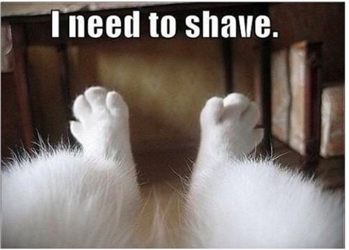 <p>cần phải làm gì</p>