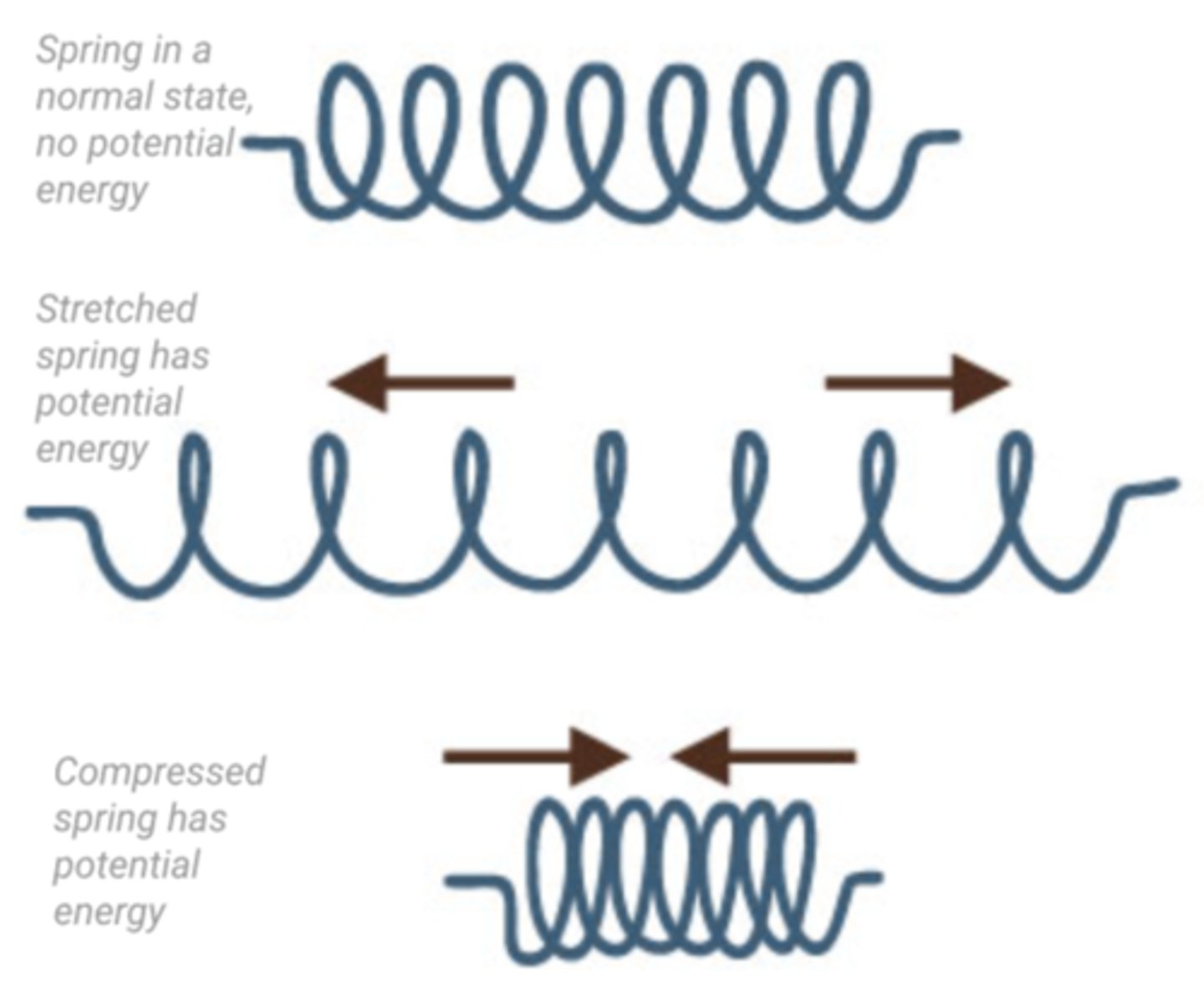 <p>When it is stretched or compressed, it stores elastic potential energy which can be converted into kinetic energy when it is released and returns to its original shape (causing movement)</p>