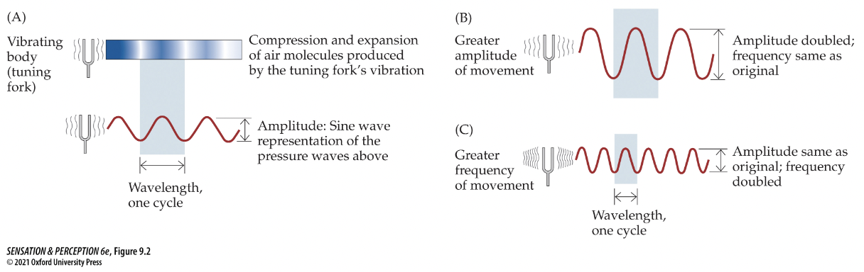 <p>Made by tuning forks - represented by single sine waves (only they achieve this)</p><ul><li><p>sound frequency corresponds to perceived pitch</p></li><li><p>sound pressure level corresponds to perceived loudness</p></li><li><p>frequency and amplitude are independent from each other</p></li></ul><p></p>