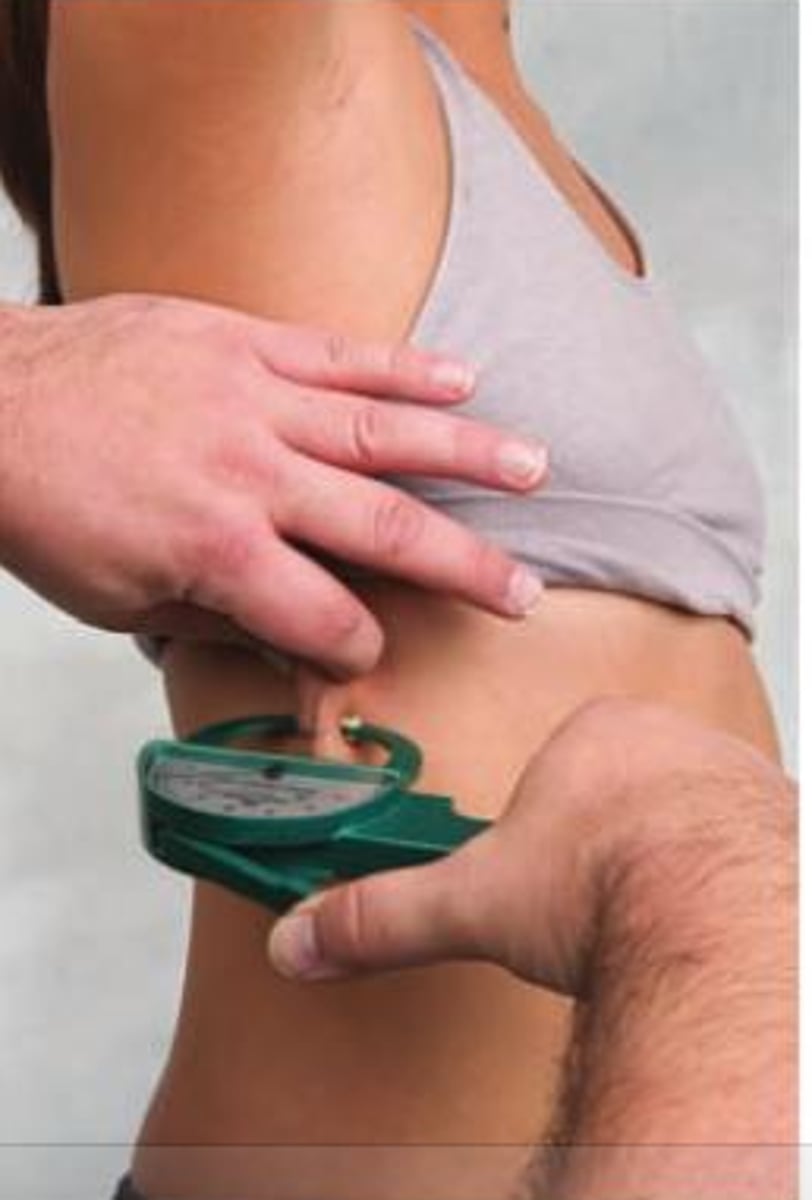 <p>On the midaxillary line at the level of the xiphoid process of the sternum ​</p><p>Vertical</p>