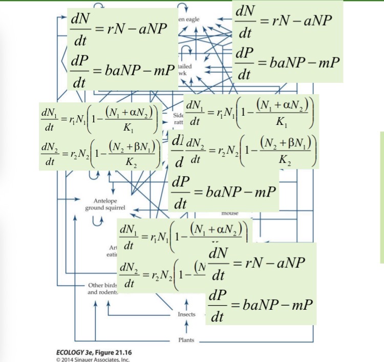 <ul><li><p>In communities, multiple populations interact with one another and influence each other’s population dynamics.</p></li><li><p>The multitude of interactions necessitates a new perspective and new approaches compared to those that we have discussed in population ecology.</p></li><li><p>Nothing is at simple as we have a bunch of levels and everyone just eats the lower levels</p></li></ul><p></p>