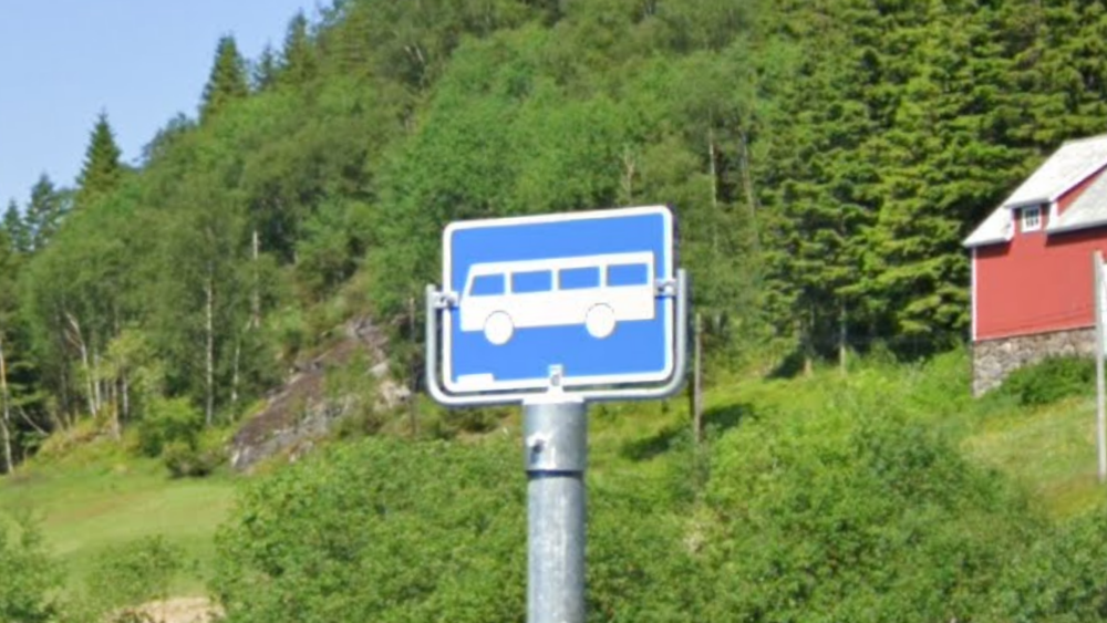 term image