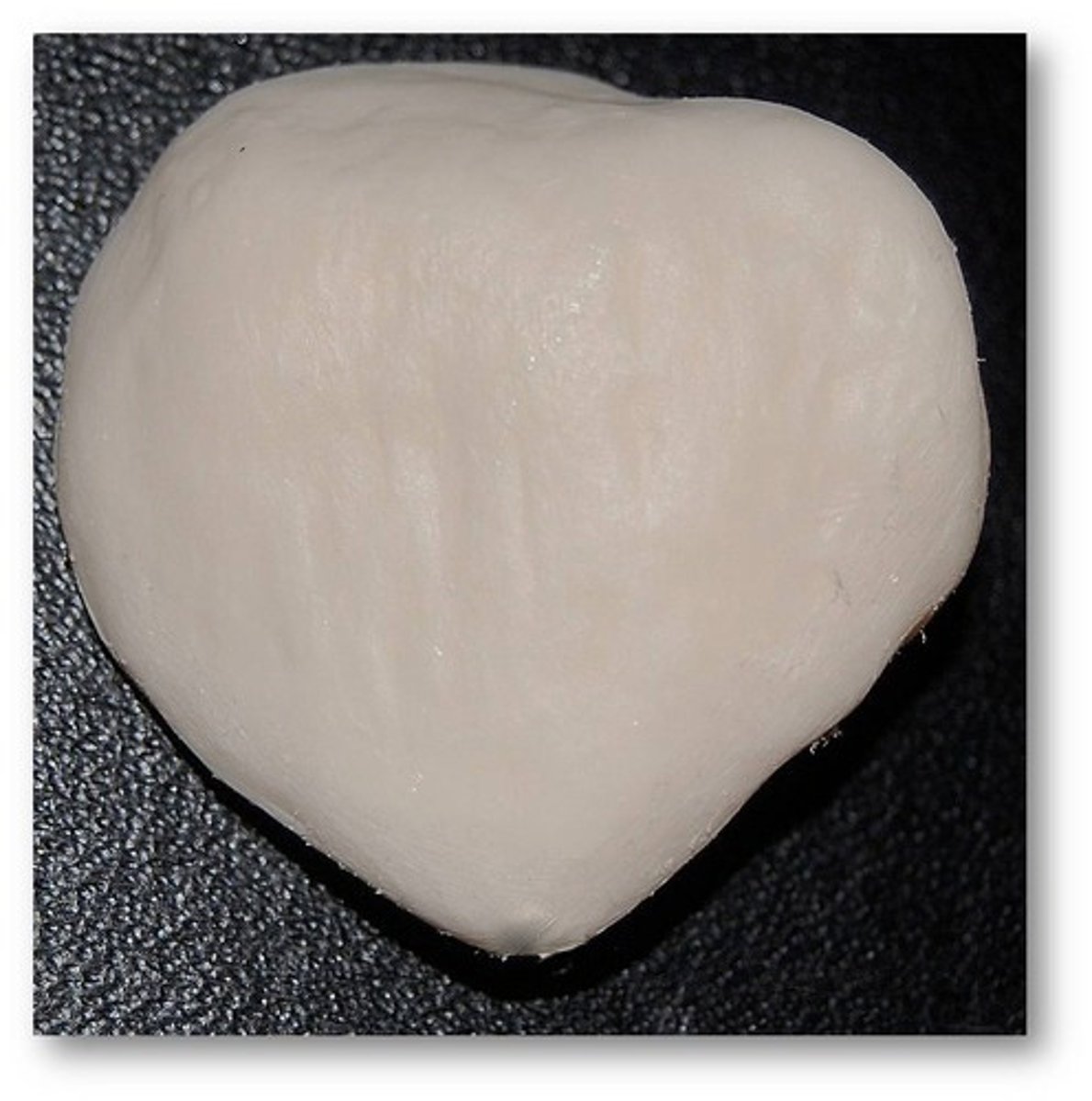 <p>Knee cap bone</p>