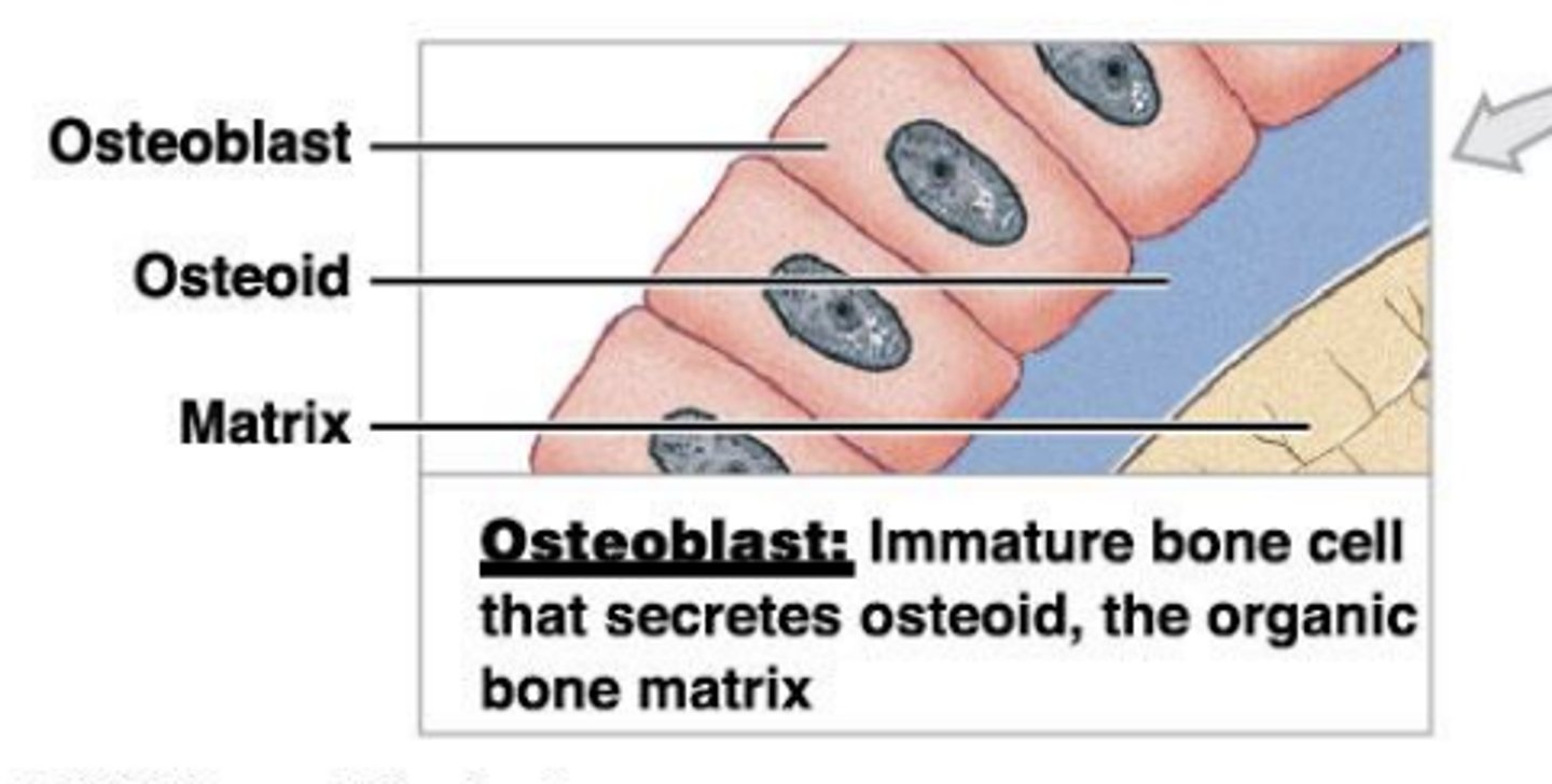 <p>produces matrix</p>