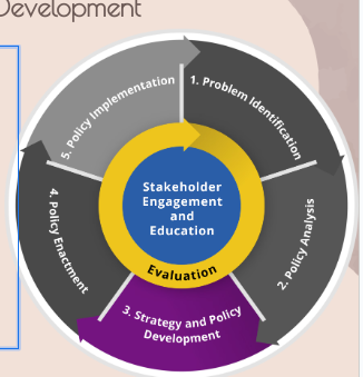 <ol><li><p>Develop enactment strategy - use stakeholders with previous experience to assist where to start process</p></li><li><p>develop/draft the policy, look for pre-existing language in other policies</p></li></ol><p></p>