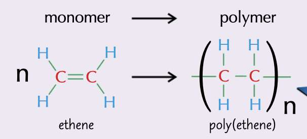 <p>formed when the double bonds in alkens break and bond to each other</p>