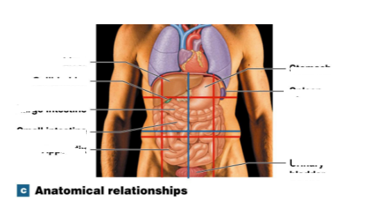 <p></p>