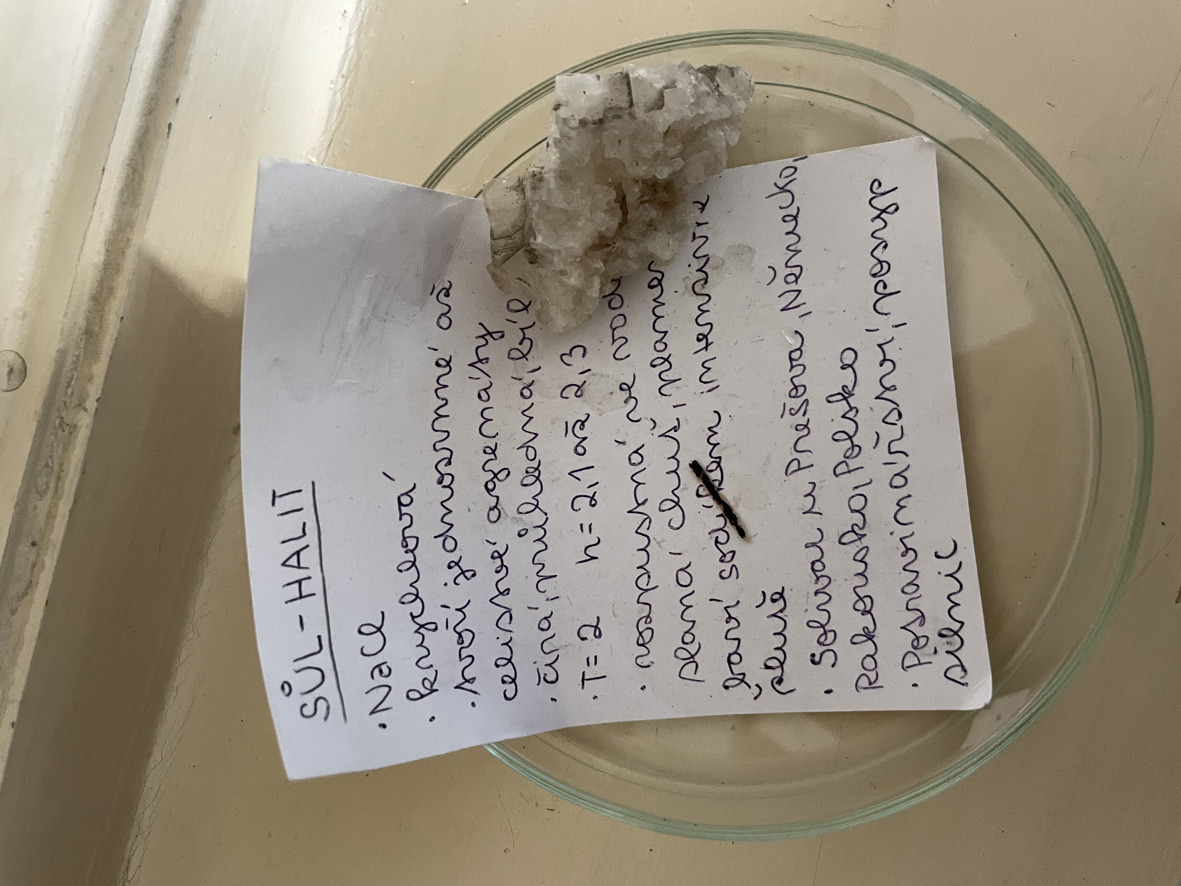 <p>sul kamenna halcit - NaCl - halogenidy</p>