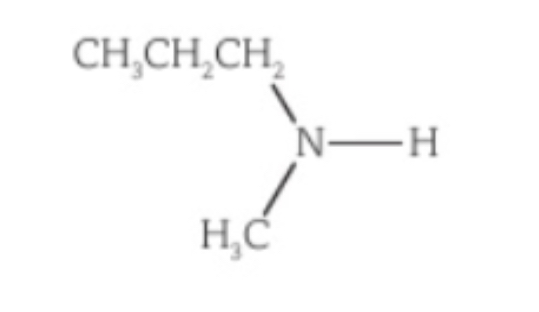 <p>Name this amine</p>