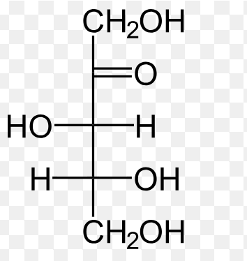 <p>what is the name of this structure? </p>