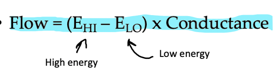 <p>the rate at which a mass moves from one compartment to the next or the conversion of a substance from one form to another in a metabolic reaction.</p><p></p><p>determined by energy gradient and conductance</p><p></p><p>Flow = K x (EHI – ELO)</p>