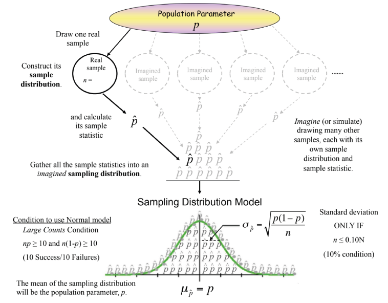 <p>Sampling distribution of a sample proportion </p>