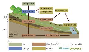 <p>inputs of the drainage basin</p>