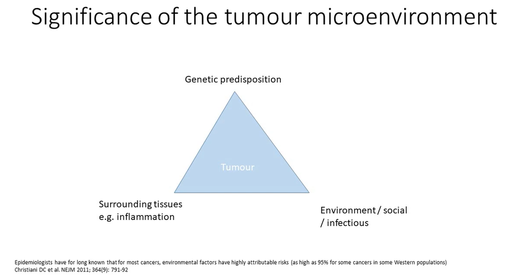 <ul><li><p>chemical carcinogens - lung and mouth cancers - smoking </p></li><li><p>breast and ovarian cancers - genetic predisposition </p></li></ul><p></p>