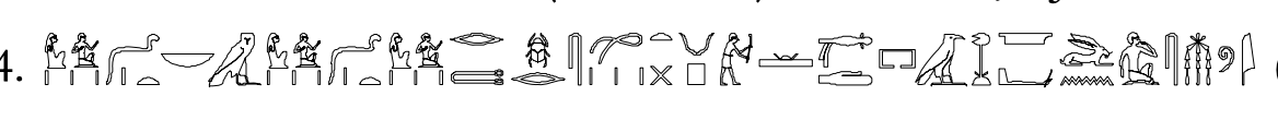 term image