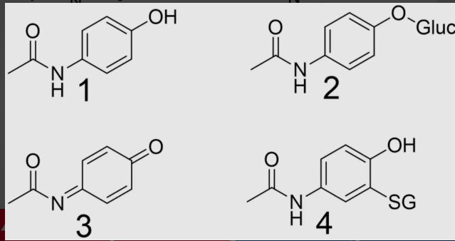 <p>which metabolite of acetaminophen is toxic?</p>
