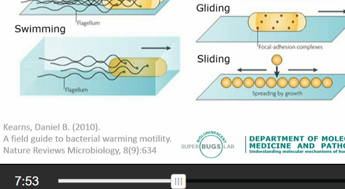 <p>Some bacteria exhibits motility property . They contain outward motor structure which help them with </p><p>Swarming  - Swimming</p><p>Even bacteria without outboard motor can also be motile through a couple of mechanism </p><p></p><p> Twitching (plus retraction) - Gliding (focal adhesion) - Sliding (spreading though an organism that divide) </p><p></p>