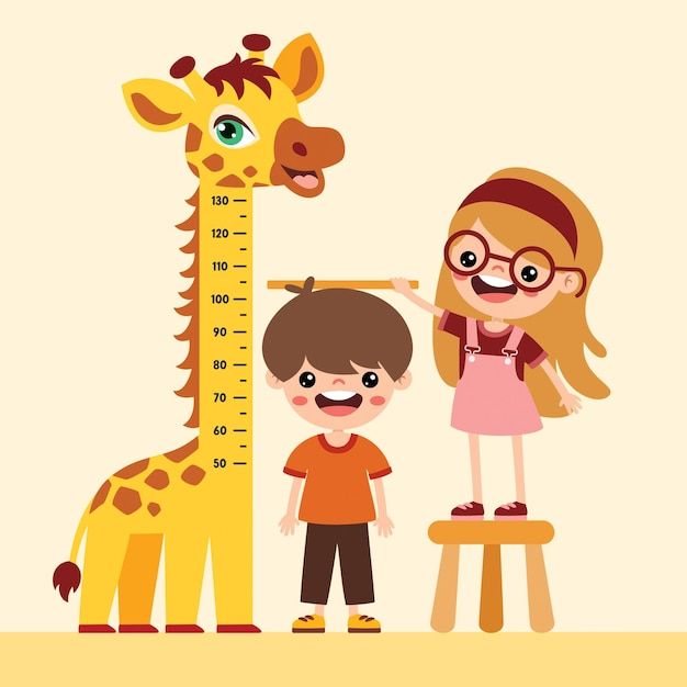 <p>height</p>