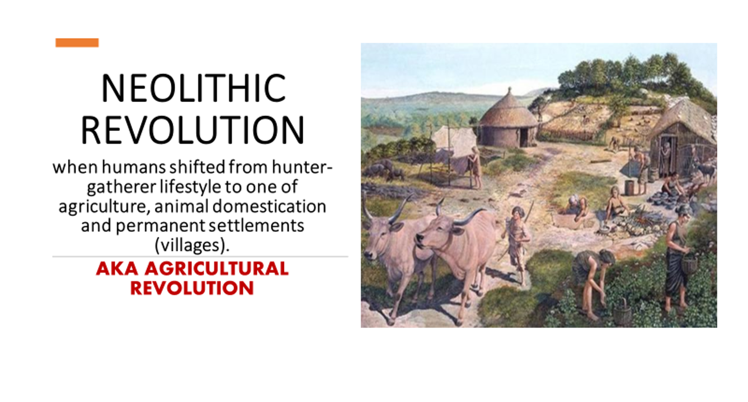 <p>Neolithic Revolution</p>