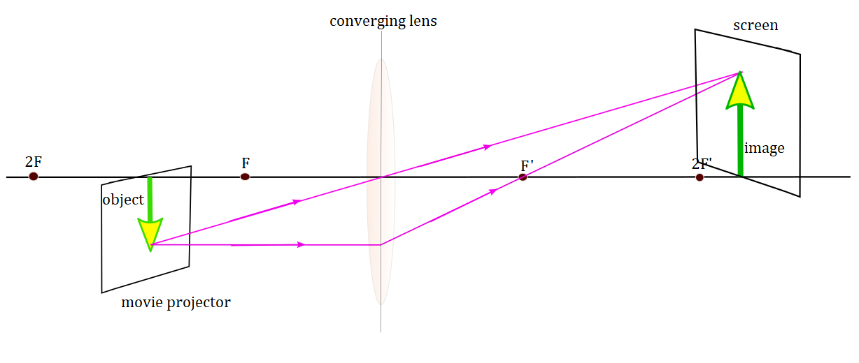 <p>sim - converging, real images that are inverted</p><p>differences - projecter is larger, inverted real image of a small object; the object (the film strip) lies between F ʹ and 2F ʹ, and the image is located beyond 2F. </p><p>camera - produce a smaller, inverted, real image of a large object; the object is beyond 2Fʹ (to focus properly), and the real image is located between F and 2F in the camera body</p>