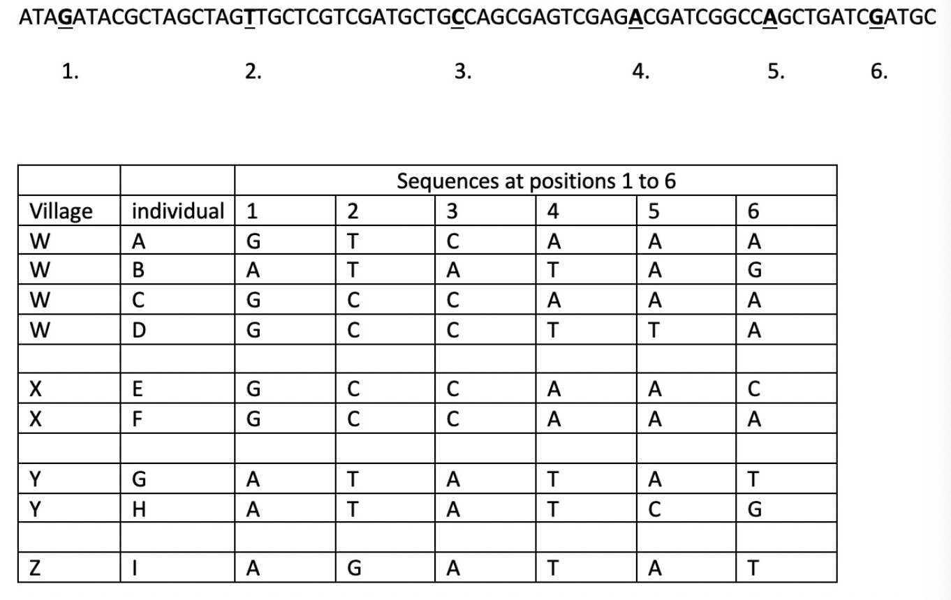 <p>the infection in village Z most likely came from village _____ . </p>