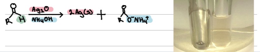 <ul><li><p>Aldehydes turn orange → green (positive). Ketones don’t react.</p></li><li><p>Aldehydes form a silver mirror. Ketones give no reaction.</p></li></ul><p></p>