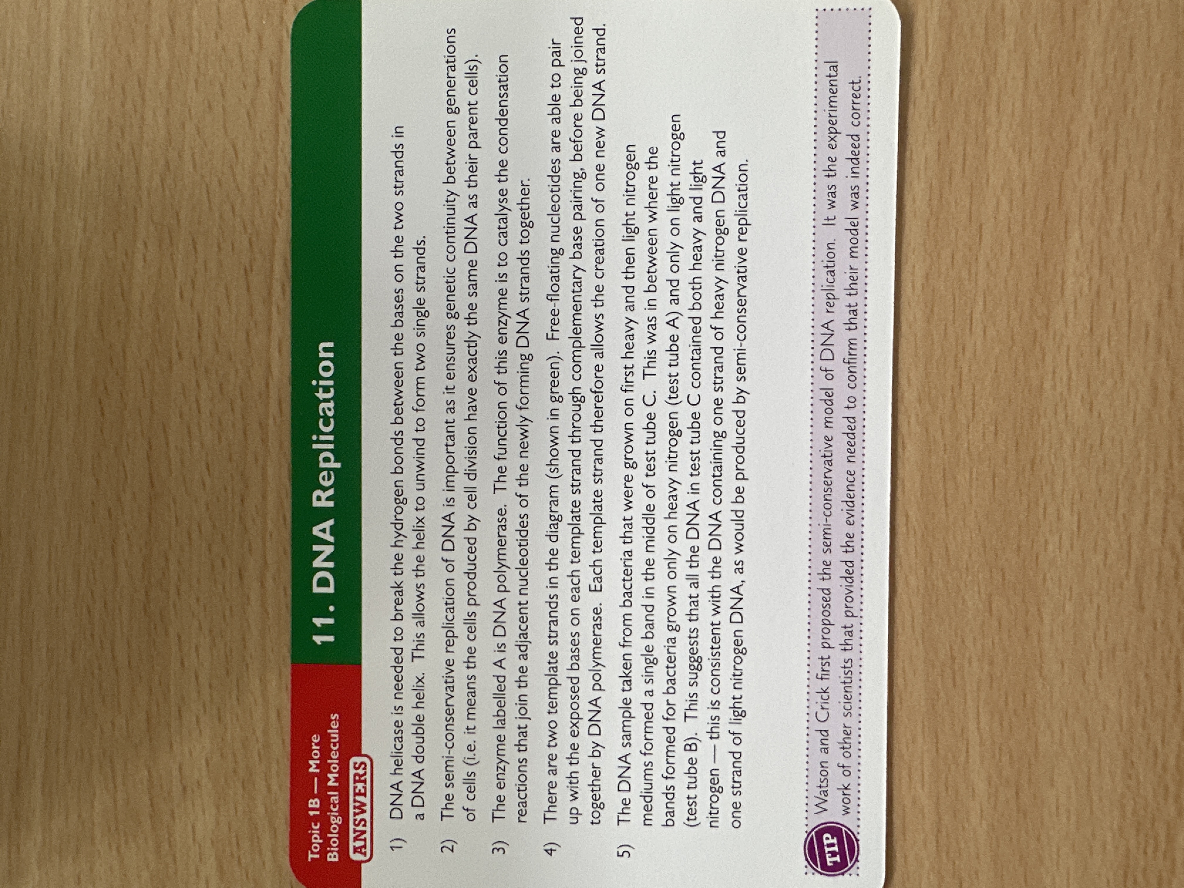 knowt flashcard image