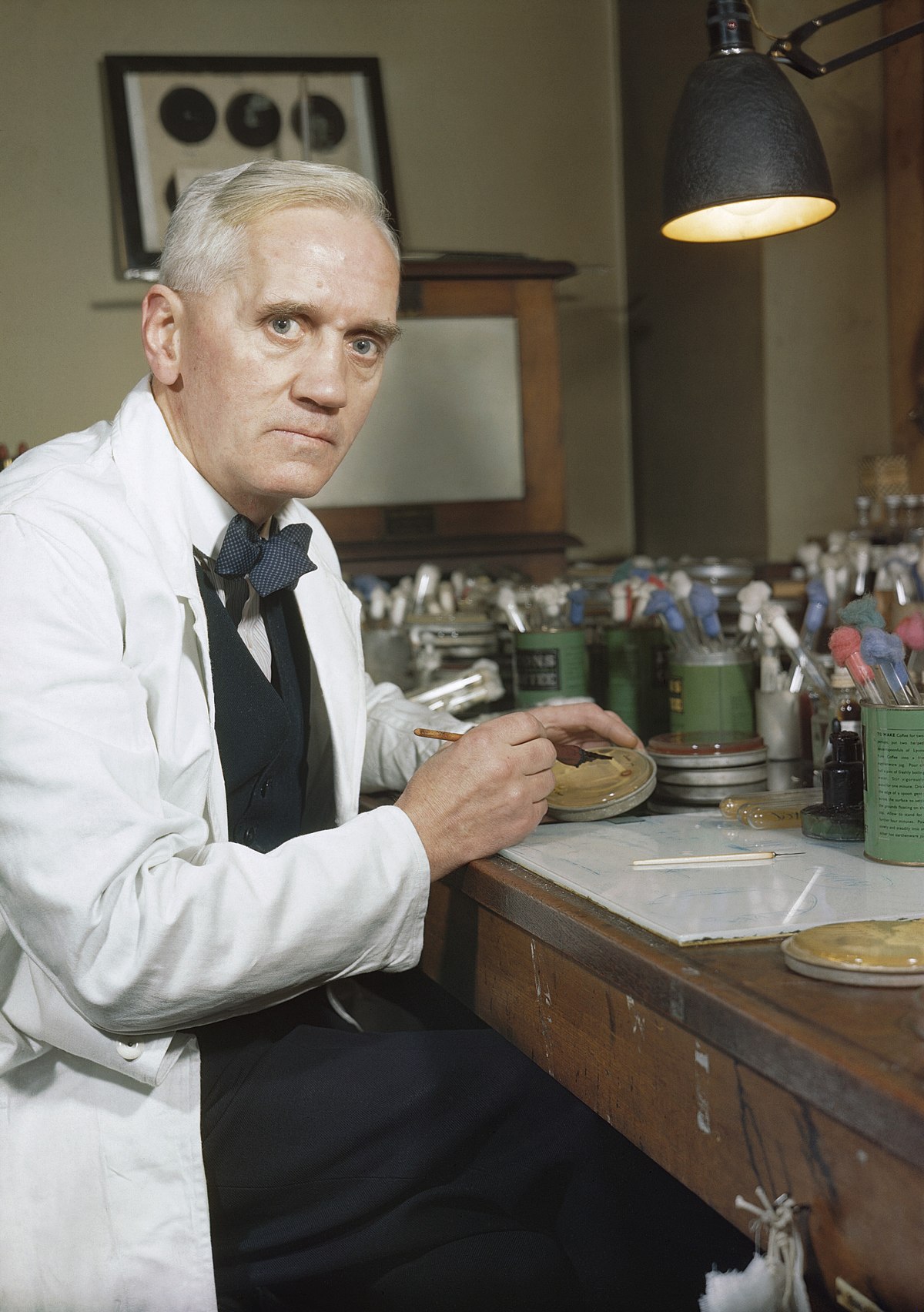 <p>A British bacteriologist who discovered penicillin, the first true antibiotic, in 1928, revolutionizing medicine by fighting bacterial infections and saving countless lives. He did warn that infections can develop new strains and become resistant to antibiotics. </p>