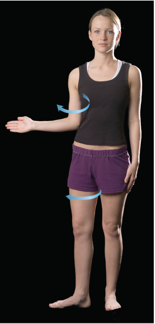 <p>rotating away from the body</p>