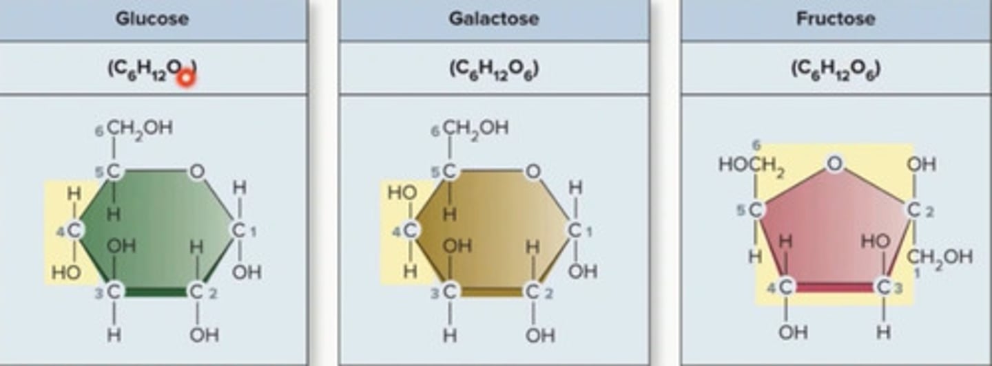 <p>same molecular formula, 6 carbon 12 hydrogen 6 oxygen, atoms arranged differently, isomers may have different chemical properties</p>