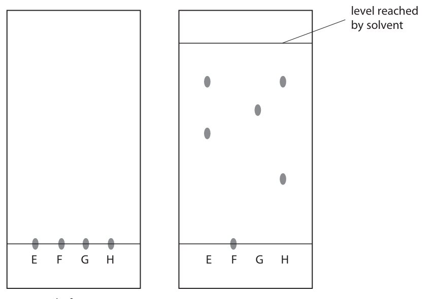 <p>Describe how the student should complete the experiment after placing the four spots on the paper. (4)</p>