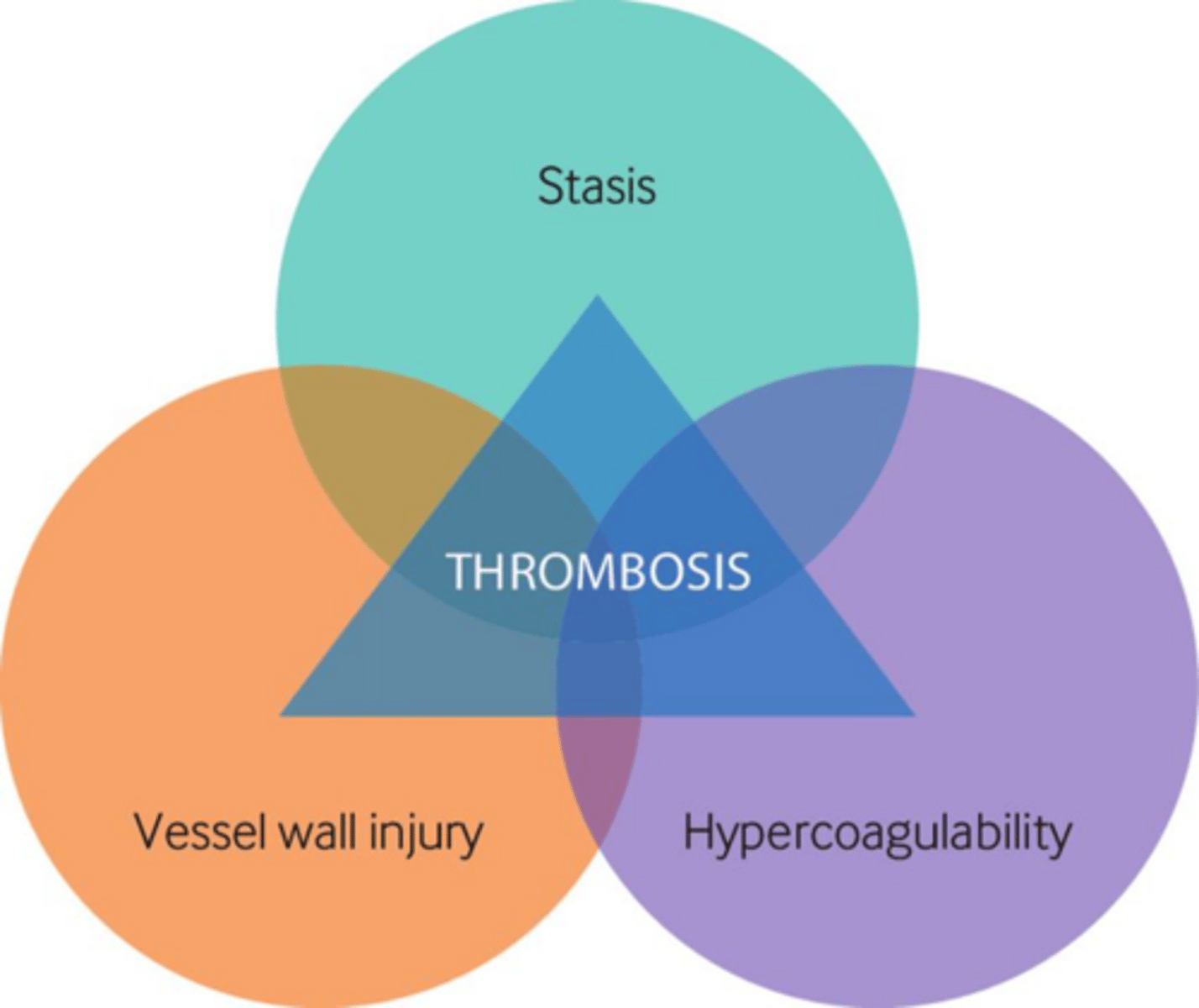 <p>A framework for understanding the risk factors for VTE: blood stasis, endothelial injury, and hypercoagulability.</p>