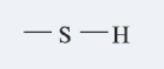 <p>group (-SH), a functional group found in some amino acids that can form disulfide bonds, influencing protein structure. </p>
