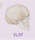 <p><span style="background-color: transparent; font-family: &quot;Times New Roman&quot;, serif;"><span>Ex: Frontal Bone, Scapula, Sternum, Ribcage</span></span></p><p></p>
