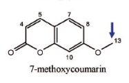 <p>Name Enzyme&nbsp;</p>