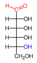 <p>name this monosaccharide:</p><p>ALDOSE ++++</p>