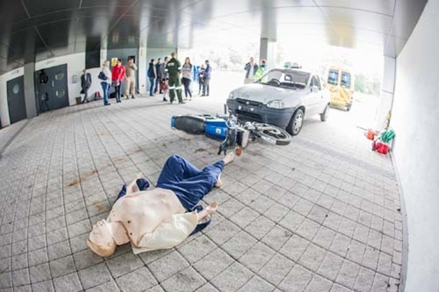 <p>the victims</p>