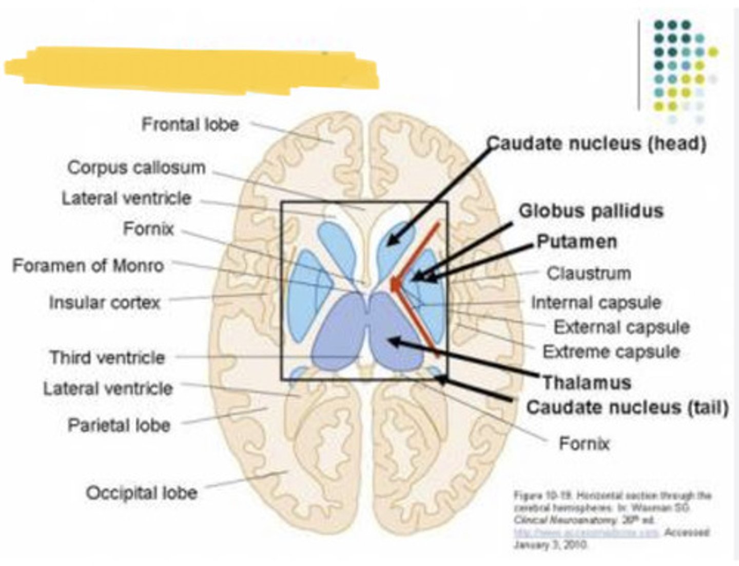 knowt flashcard image
